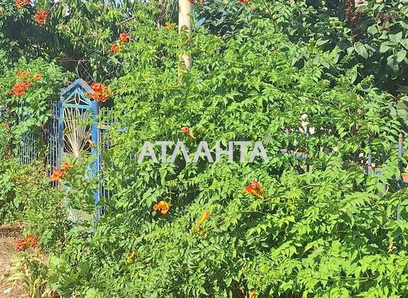 Dacha by the address st. 1 ya liniya (area 29 m²) - Atlanta.ua - photo 12