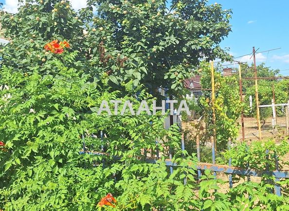Dacha by the address st. 1 ya liniya (area 29 m²) - Atlanta.ua - photo 14