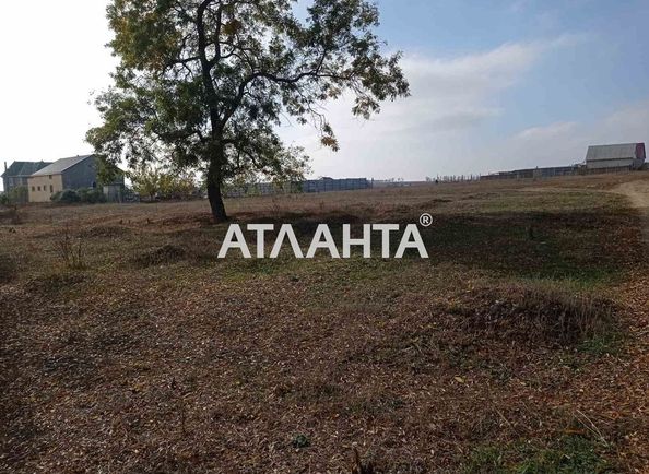 Landplot by the address st. Novoselov (area 10 acr) - Atlanta.ua - photo 4