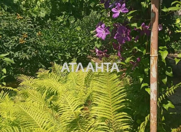 Участок по адресу Китобойный 1-й пер. (площадь 8,3 сот) - Atlanta.ua - фото 4