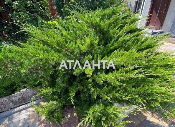 Будинок за адресою вул. Центральна (площа 151,3 м²) - Atlanta.ua - фото 35