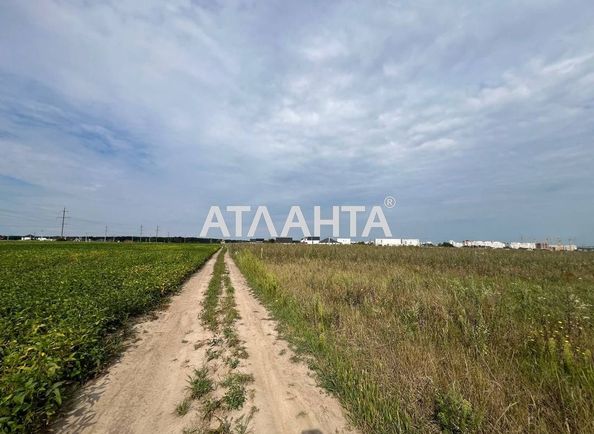 Landplot by the address st. Nikolaya Evshana (area 5 acr) - Atlanta.ua - photo 5