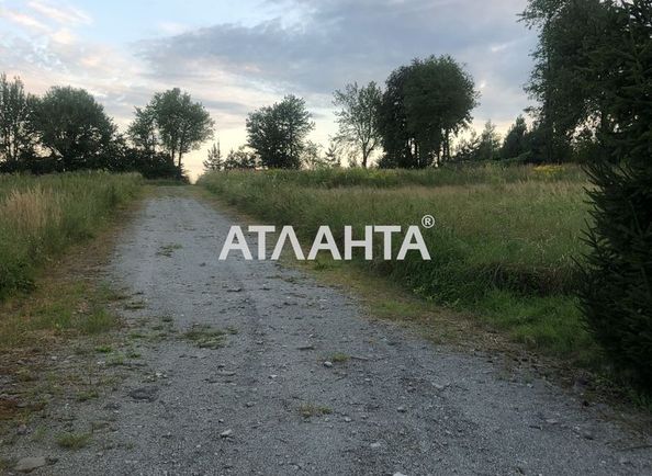 Landplot by the address (area 63 acr) - Atlanta.ua - photo 5