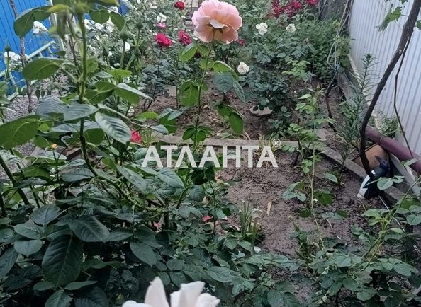 Dacha by the address st. Prichal 218 (area 50 m²) - Atlanta.ua - photo 9