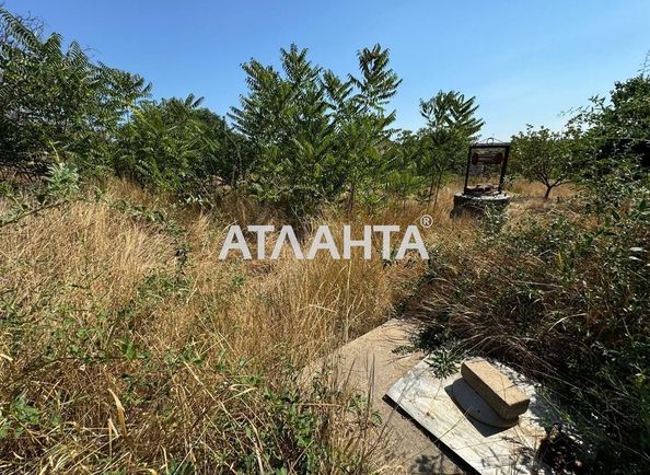 Landplot by the address st. Stepovaya (area 13,1 acr) - Atlanta.ua - photo 3