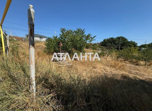 Landplot by the address st. Stepovaya (area 13,1 acr) - Atlanta.ua - photo 5