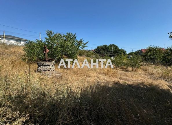 Landplot by the address st. Stepovaya (area 13,1 acr) - Atlanta.ua - photo 6