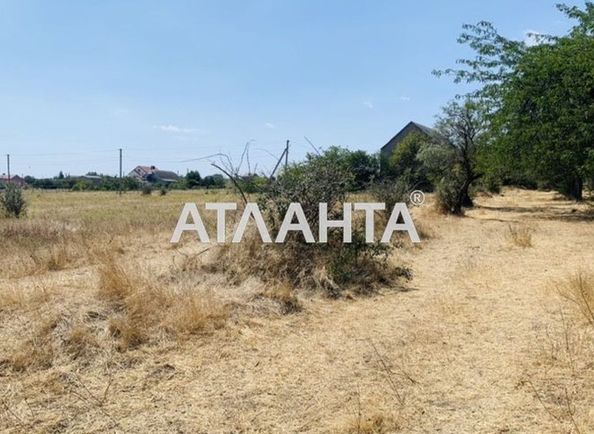 Landplot by the address (area 10 acr) - Atlanta.ua - photo 3