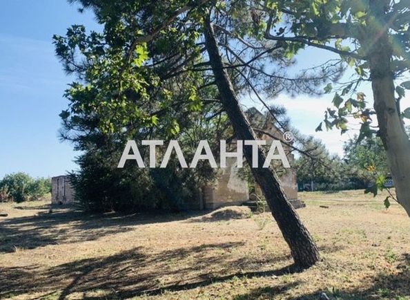 Landplot by the address st. Lenina (area 20 acr) - Atlanta.ua - photo 2