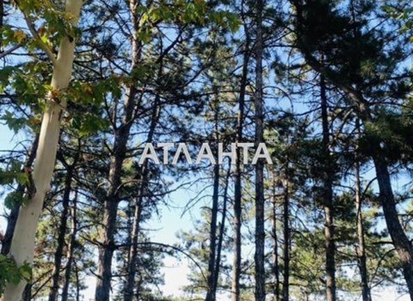 Landplot by the address st. Lenina (area 20 acr) - Atlanta.ua - photo 3