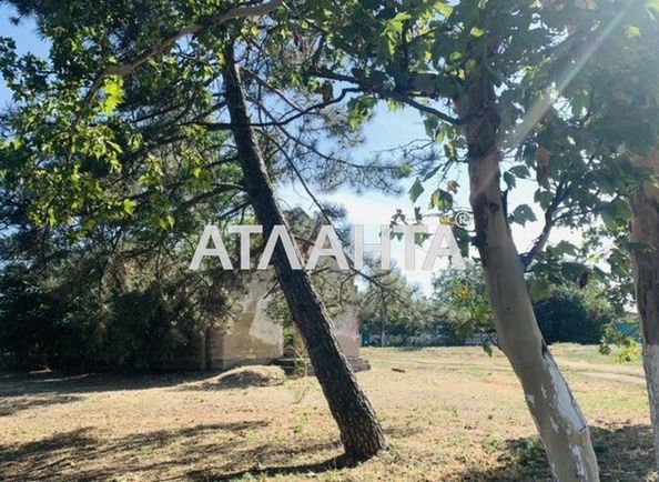 Landplot by the address st. Lenina (area 20 acr) - Atlanta.ua - photo 4