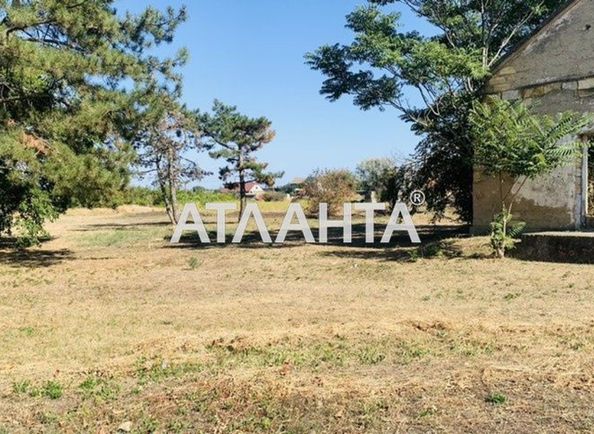 Landplot by the address st. Lenina (area 20 acr) - Atlanta.ua - photo 10