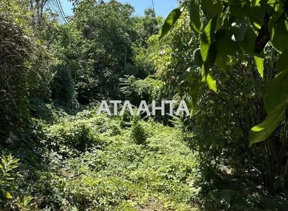 Landplot by the address st. Chubaevskaya Selsovetskaya (area 2 acr) - Atlanta.ua