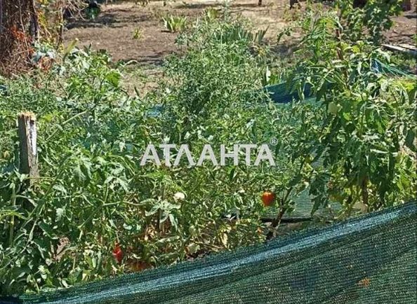 Будинок за адресою вул. Виноградна (площа 40 м²) - Atlanta.ua - фото 8