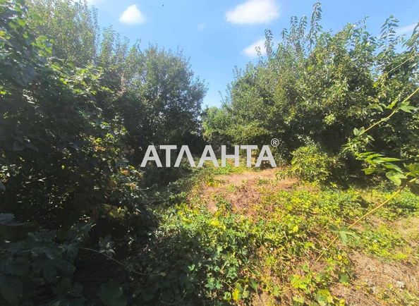 Участок (площадь 24,6 сот) - Atlanta.ua