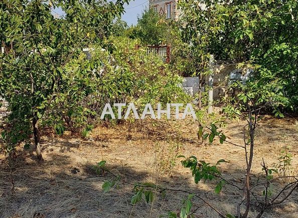 Dacha by the address (area 30 m²) - Atlanta.ua - photo 3