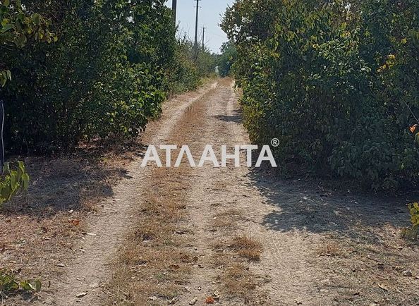 Dacha by the address (area 30 m²) - Atlanta.ua - photo 9