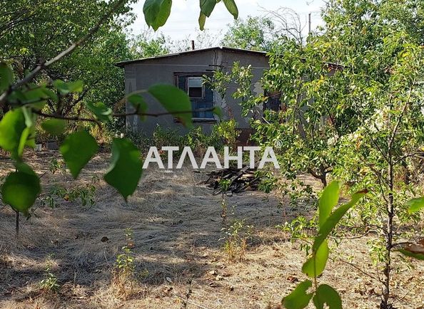 Dacha by the address (area 30 m²) - Atlanta.ua - photo 13