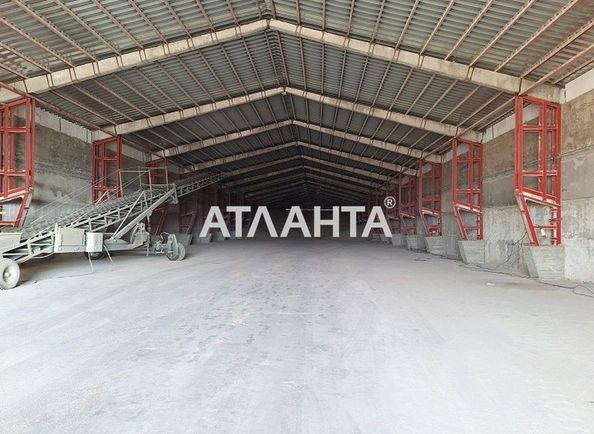 Commercial real estate at st. Olimpiyskaya (area 4800 m²) - Atlanta.ua - photo 4
