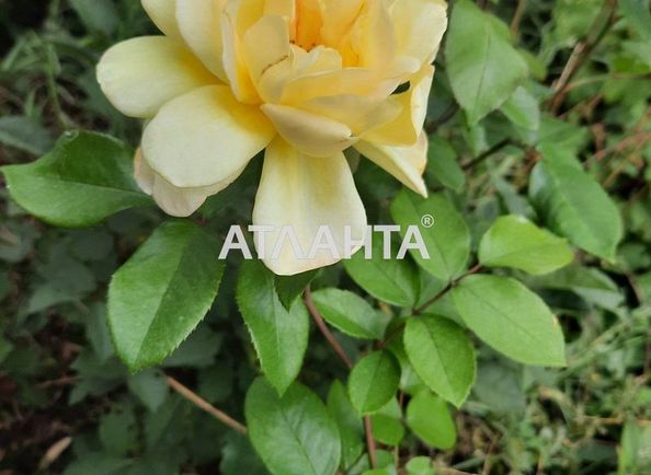 Будинок за адресою вул. 11-а лінія (площа 123 м²) - Atlanta.ua - фото 11