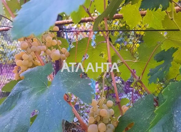 Будинок за адресою вул. Центральна (площа 200 м²) - Atlanta.ua - фото 23