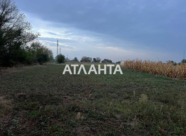 Участок по адресу (площадь 10 сот) - Atlanta.ua