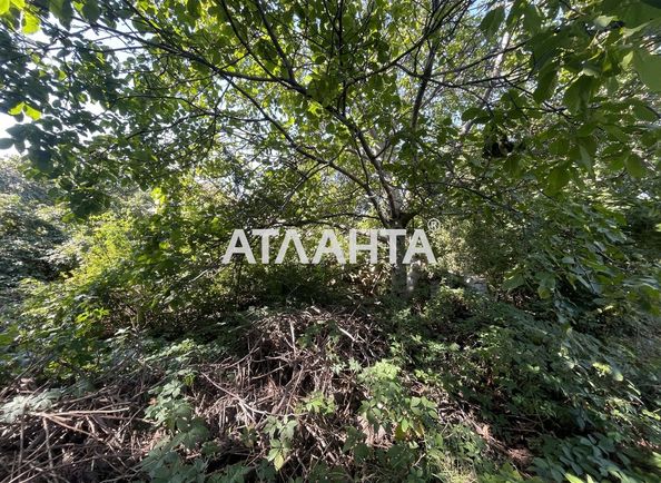 Landplot by the address st. Lvovskaya (area 12 acr) - Atlanta.ua - photo 6