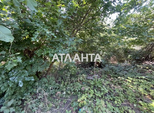 Landplot by the address st. Lvovskaya (area 12 acr) - Atlanta.ua - photo 8