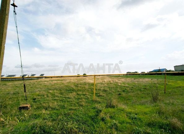 Landplot by the address (area 19,6 acr) - Atlanta.ua - photo 6