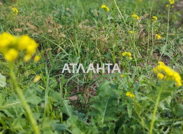 Landplot by the address st. Massiv 11 (area 5 acr) - Atlanta.ua - photo 4