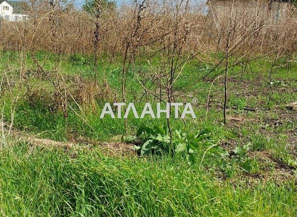 Landplot by the address st. Massiv 11 (area 5 acr) - Atlanta.ua - photo 5
