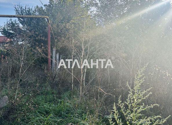 Landplot by the address st. Poltavskiy per (area 10 acr) - Atlanta.ua - photo 6