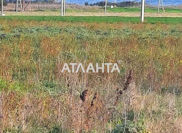 Landplot by the address st. Vasnetsova (area 4,9 acr) - Atlanta.ua - photo 4