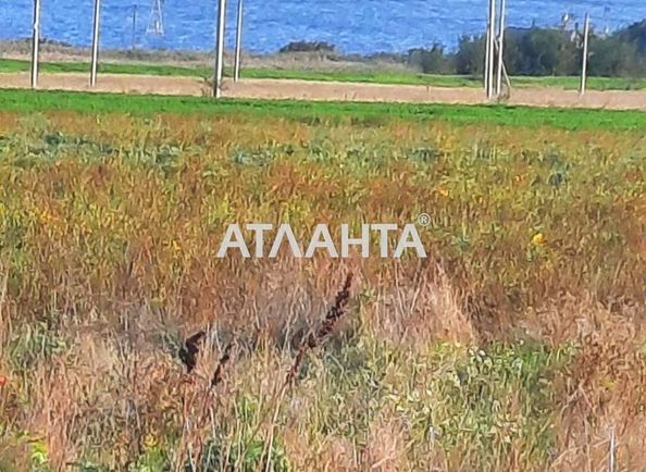 Ділянка за адресою вул. Васнєцова (площа 4,9 сот) - Atlanta.ua