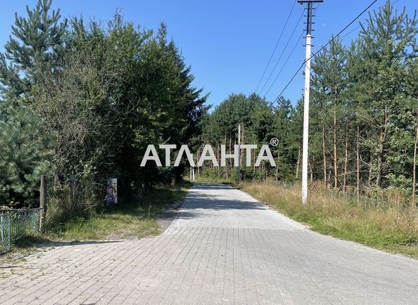 Landplot by the address st. Tsentralnaya (area 24 acr) - Atlanta.ua - photo 2