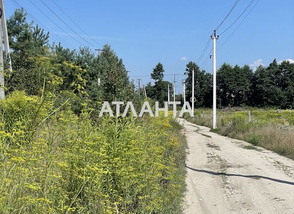 Landplot by the address st. Tsentralnaya (area 24 acr) - Atlanta.ua - photo 3