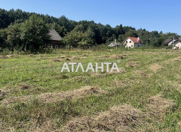 Landplot by the address st. Tsentralnaya (area 24 acr) - Atlanta.ua - photo 6