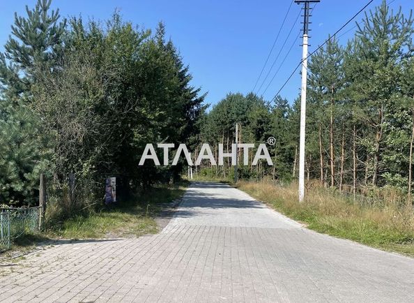 Landplot by the address st. Tsentralnaya (area 24 acr) - Atlanta.ua - photo 2