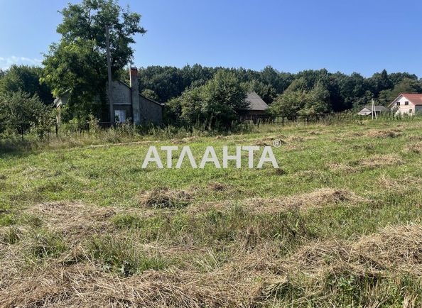 Landplot by the address st. Tsentralnaya (area 0) - Atlanta.ua - photo 2