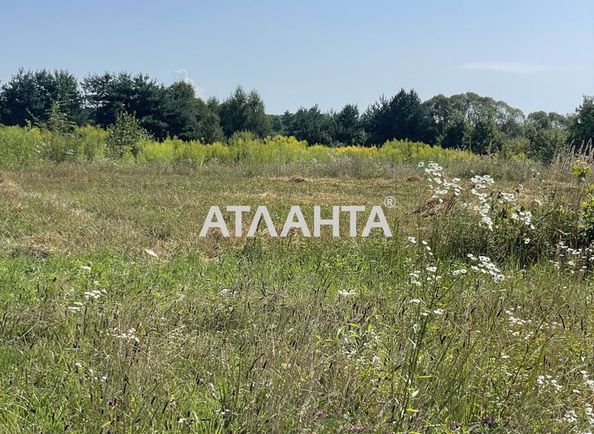 Landplot by the address st. Tsentralnaya (area 0) - Atlanta.ua - photo 3
