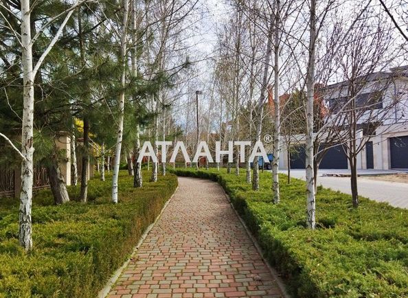 Landplot by the address (area 15 acr) - Atlanta.ua - photo 3