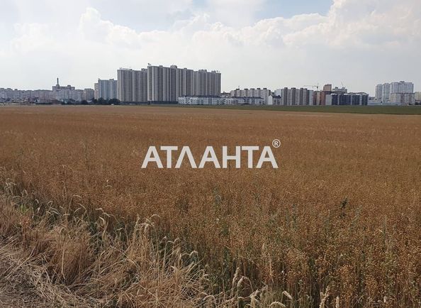 Landplot by the address (area 211 acr) - Atlanta.ua - photo 2