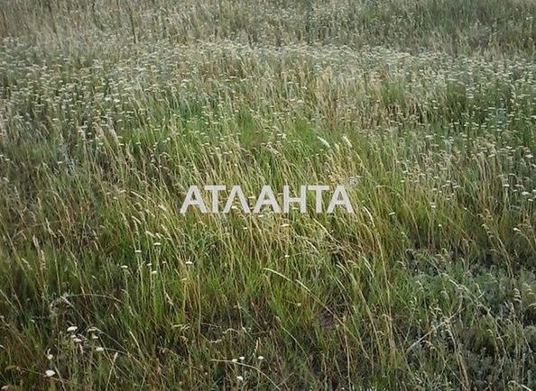 Landplot by the address (area 10 acr) - Atlanta.ua - photo 3