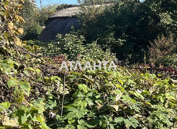 Landplot by the address st. Rybachya (area 6 acr) - Atlanta.ua