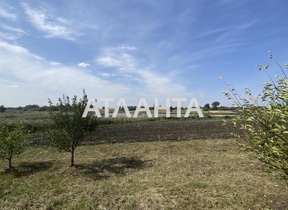 Ділянка за адресою вул. Шевченка (площа 0) - Atlanta.ua - фото 4