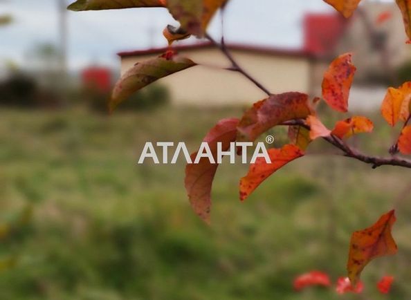 Участок по адресу ул. Шевченко (площадь 10 сот) - Atlanta.ua