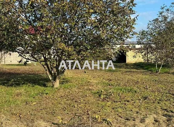 Landplot by the address st. Massiv 11 (area 6 acr) - Atlanta.ua - photo 2