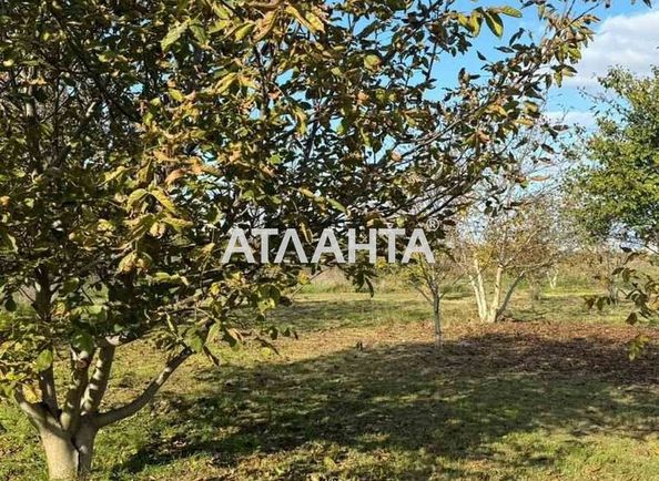 Landplot by the address st. Massiv 11 (area 6 acr) - Atlanta.ua - photo 4