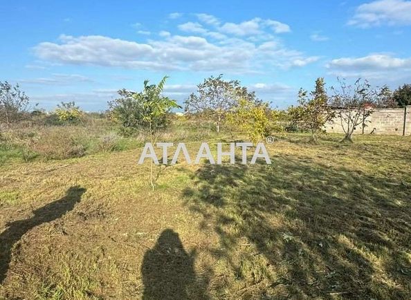 Landplot by the address st. Massiv 11 (area 6 acr) - Atlanta.ua - photo 5