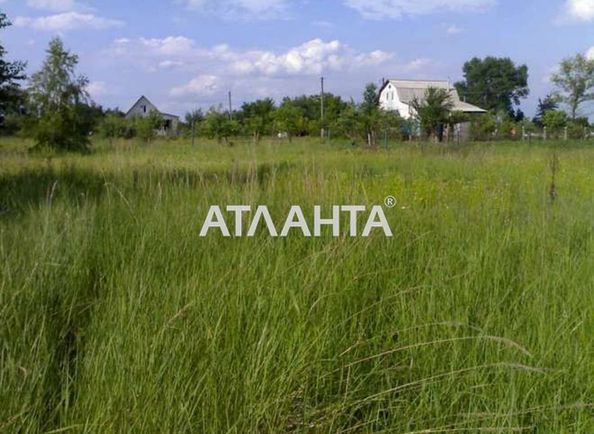 Landplot by the address st. Klyukvennyy per (area 4,8 acr) - Atlanta.ua - photo 4